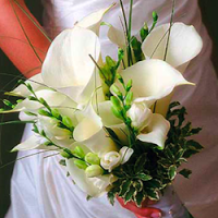 Bridal Hair and Beauty 1095176 Image 1